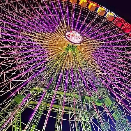 Amplio Y Luminoso En Camelias